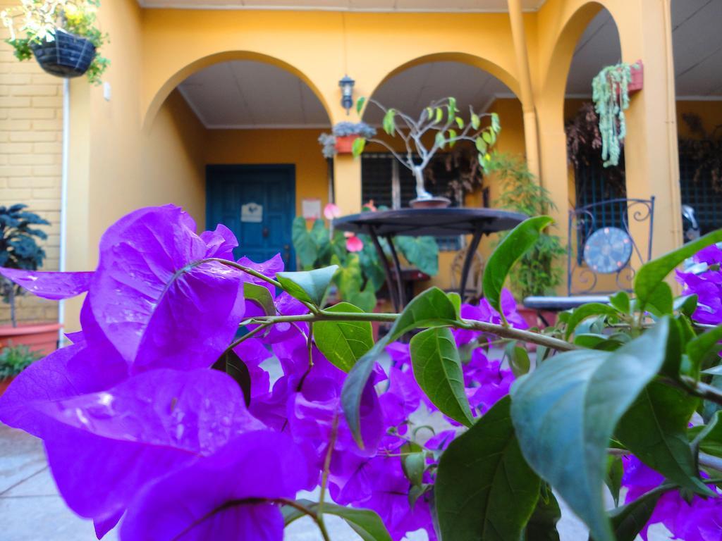La Posada de Juan B&B Santa Rosa de Copán Exterior foto